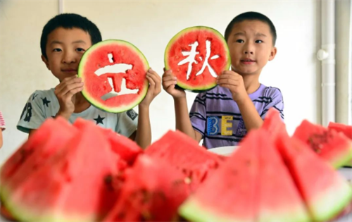 油水分离隔离器